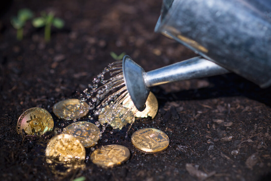 Le-Bitcoin-remonte-après-être-descendu-en-dessous-de-30-000usd