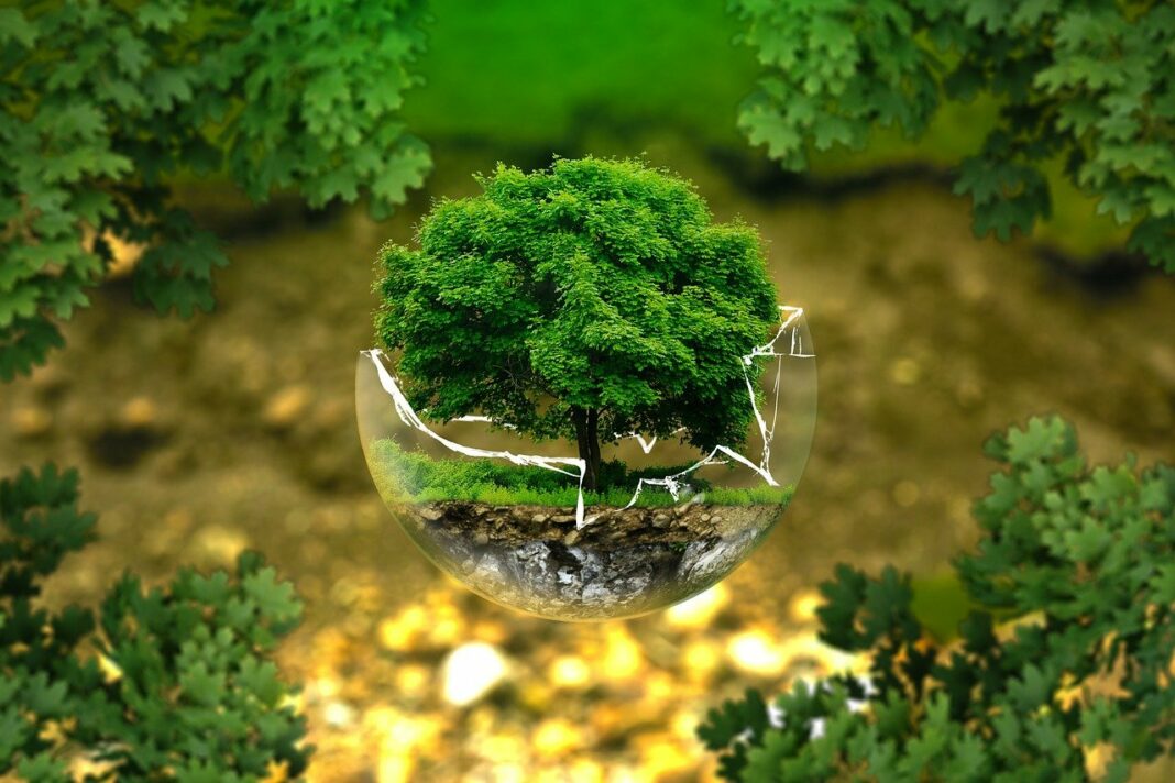 Greenpeace et Ripple dans le même combat pour un effort de Bitcoin - pixabay