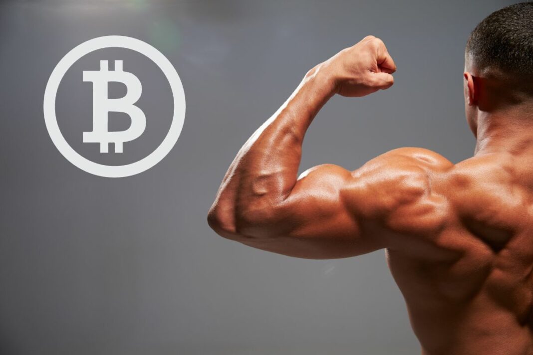 Octobre 2023 Le Bitcoin est en pleine forme - canva