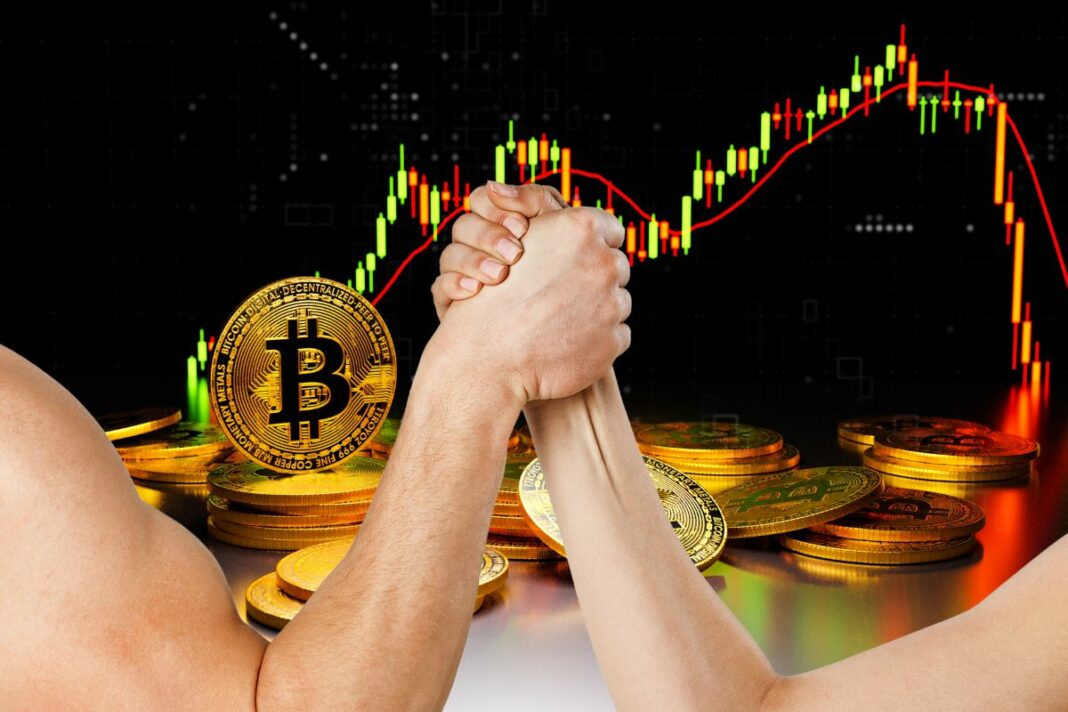 Dominance instable du Bitcoin face à la chute du marché